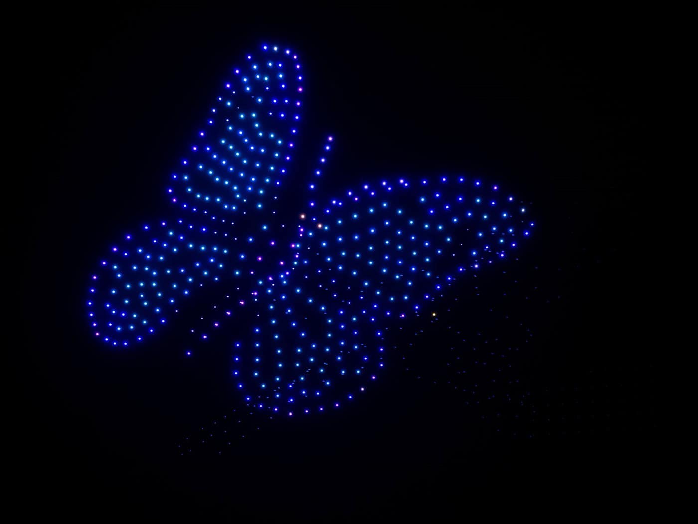 Am Himmel über München leuchtete zum Beispiel ein großer Schmetterling. / Foto: Sven Hoppe/dpa