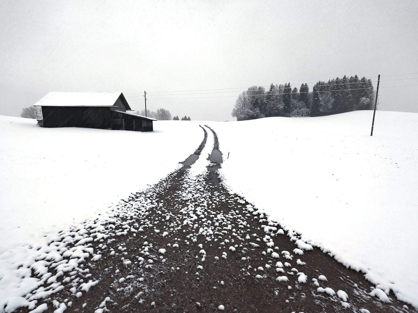 Selbst in niedrigeren Lagen im Alpenvorland, wie hier im Allgäu, hatte es in den vergangenen Tagen geschneit. (Archivbild) / Foto: Karl-Josef Hildenbrand/dpa