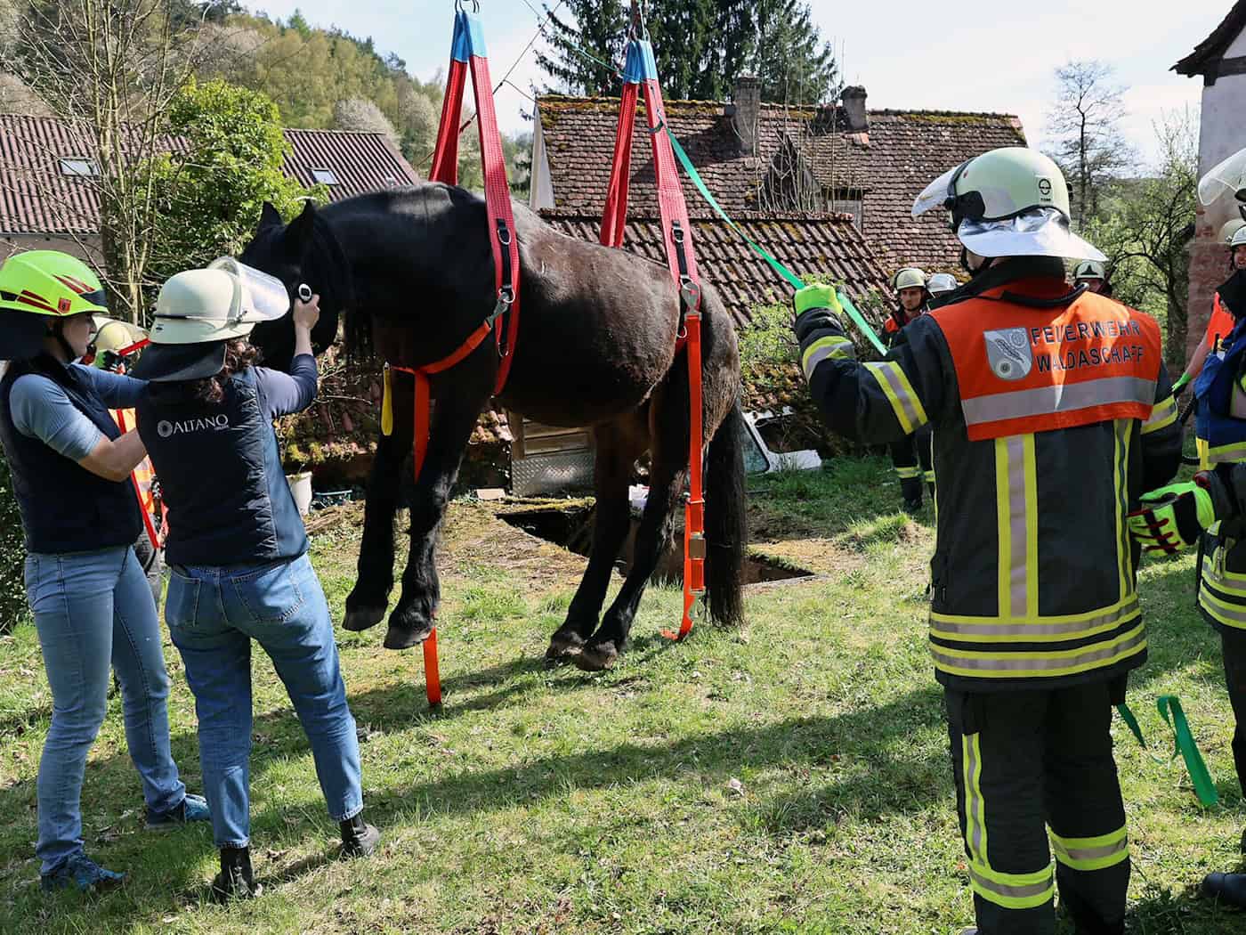 Ein Pferd ist aus einer schmalen Grube gerettet worden. (Handout) / Foto: Ralf Hettler/dpa