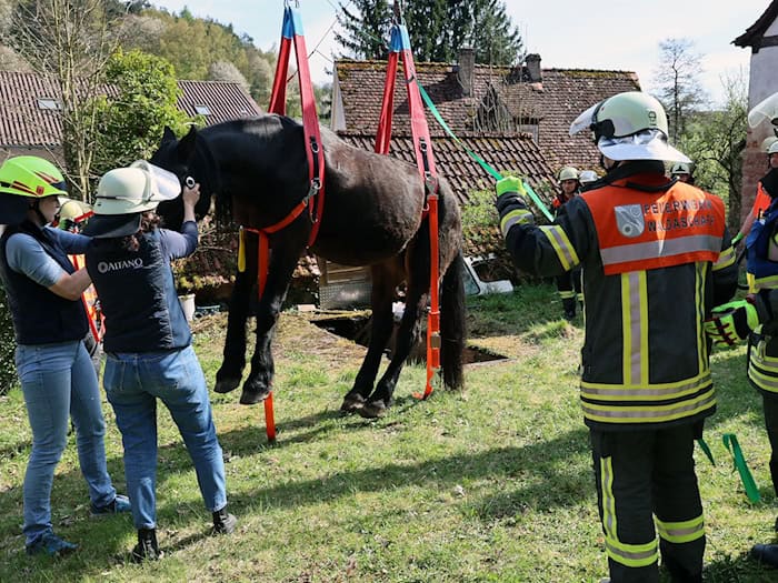 Ein Pferd ist aus einer schmalen Grube gerettet worden. (Handout) / Foto: Ralf Hettler/dpa