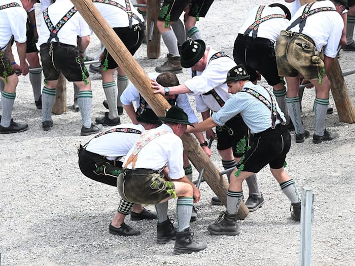 Zum 1. Mai werden wieder überall in Bayern Maibäume aufgestellt. (Archivbild) / Foto: Felix Hörhager/dpa