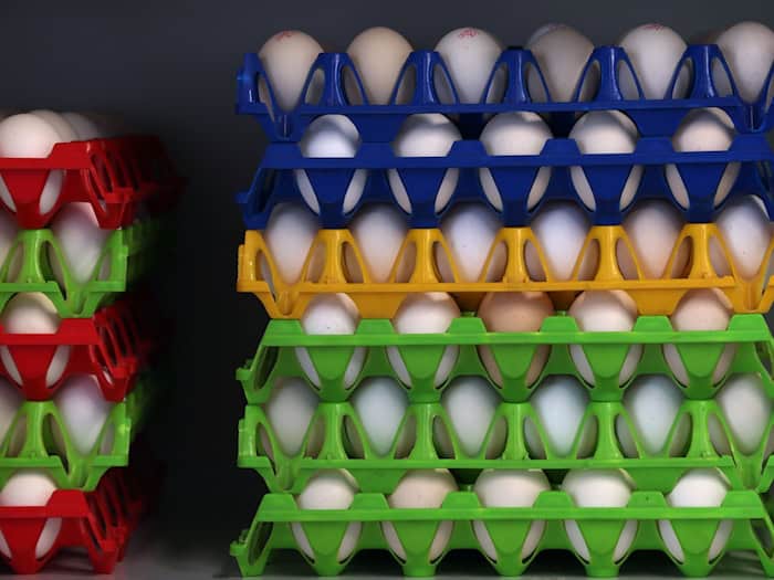 In Bayern gibt es eine große Nachfrage nach Bio-Eiern. (Symbolbild) / Foto: Karl-Josef Hildenbrand/dpa