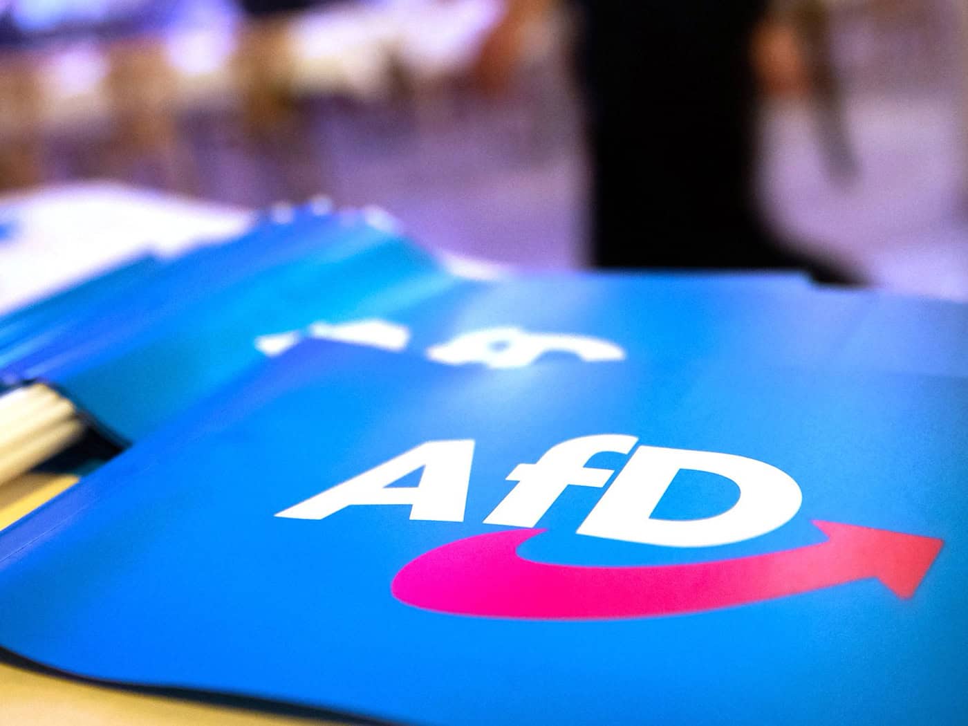 Im Umfeld eines AfD-Parteitages in Greding war es zu möglichen rechtsgerichteten Straftaten gekommen - sechs Männer stehen am Montag deswegen in Schwabach vor Gericht. (Symbolbild) / Foto: Daniel Karmann/dpa