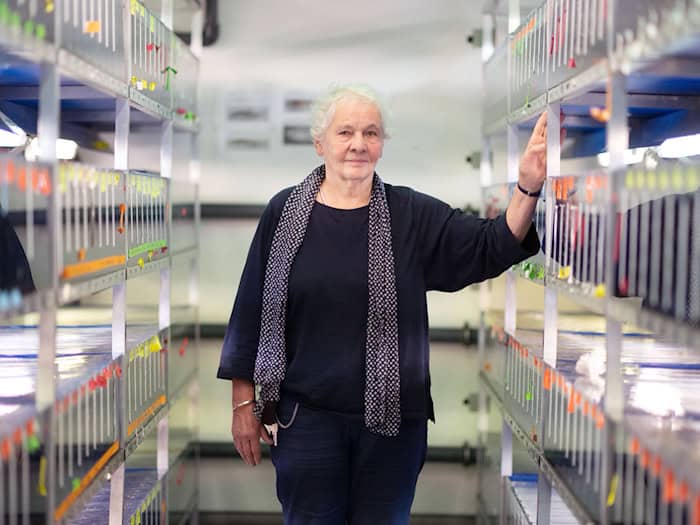 Christiane Nüsslein-Volhard wünscht sich mehr Wertschätzung für Naturwissenschaften. (Archivbild) / Foto: Marijan Murat/dpa