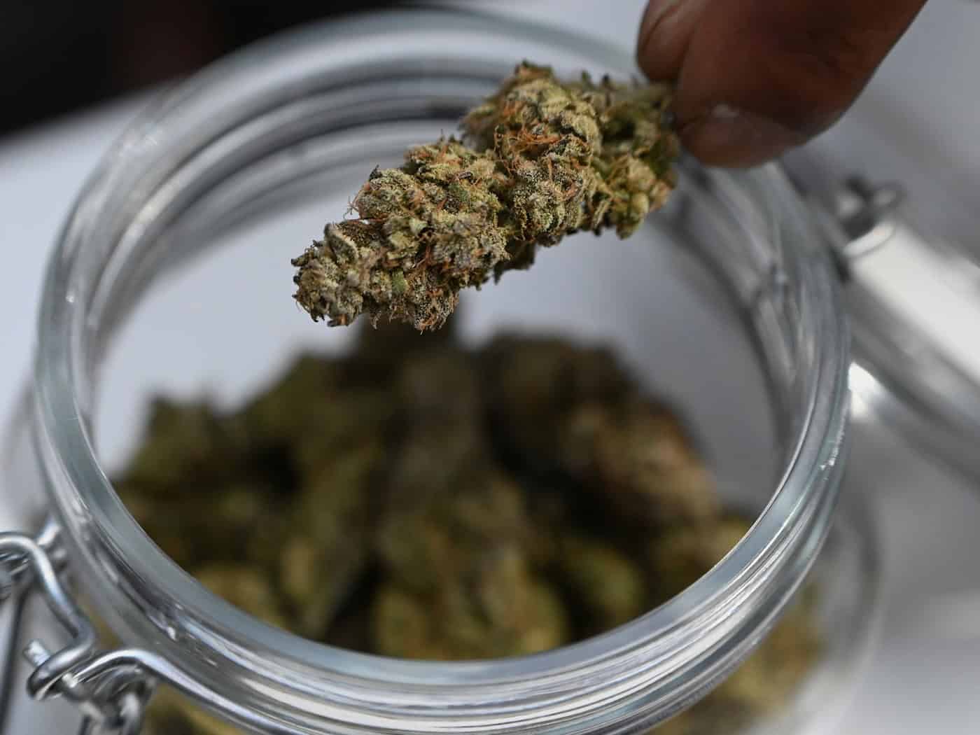 Mehr als sieben Kilo Marihuana stellte die Polizei bei dem Einsatz sicher. (Symbolbild) / Foto: Michael Brandt/dpa