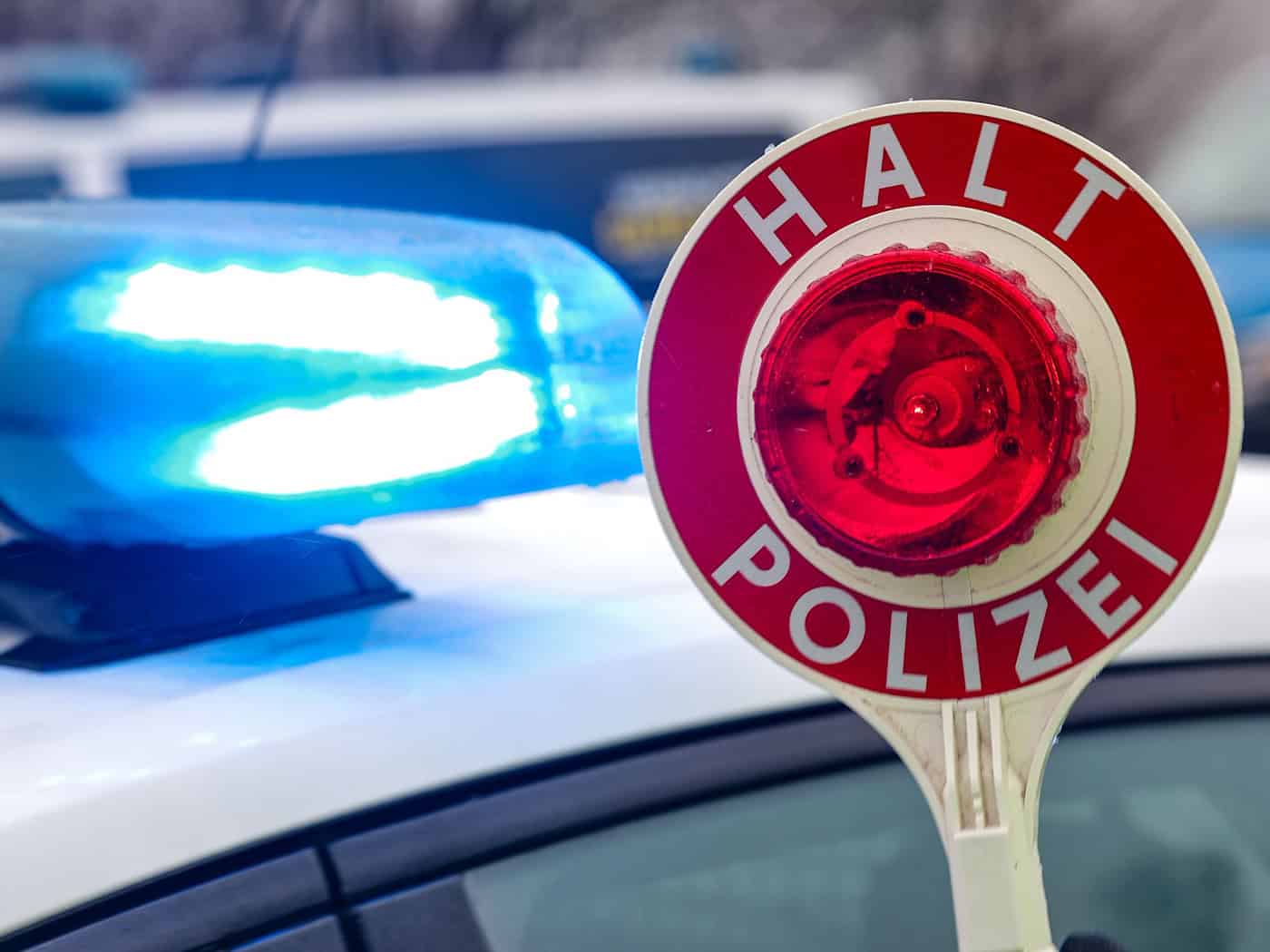 Die Polizei entdeckt die vier Welpen bei einer Kontrolle auf der A3. (Symbolbild) / Foto: Jan Woitas/dpa