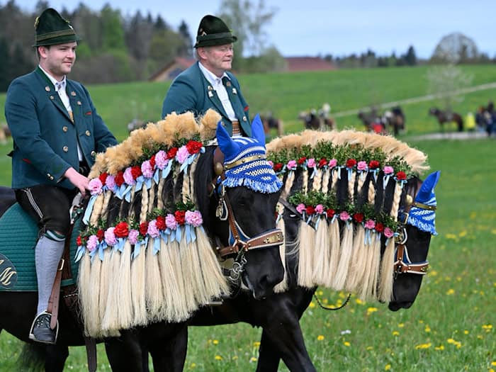 Die Pferde sind beim Georgiritt festlich geschmückt. (Archivbild) / Foto: Uwe Lein/dpa