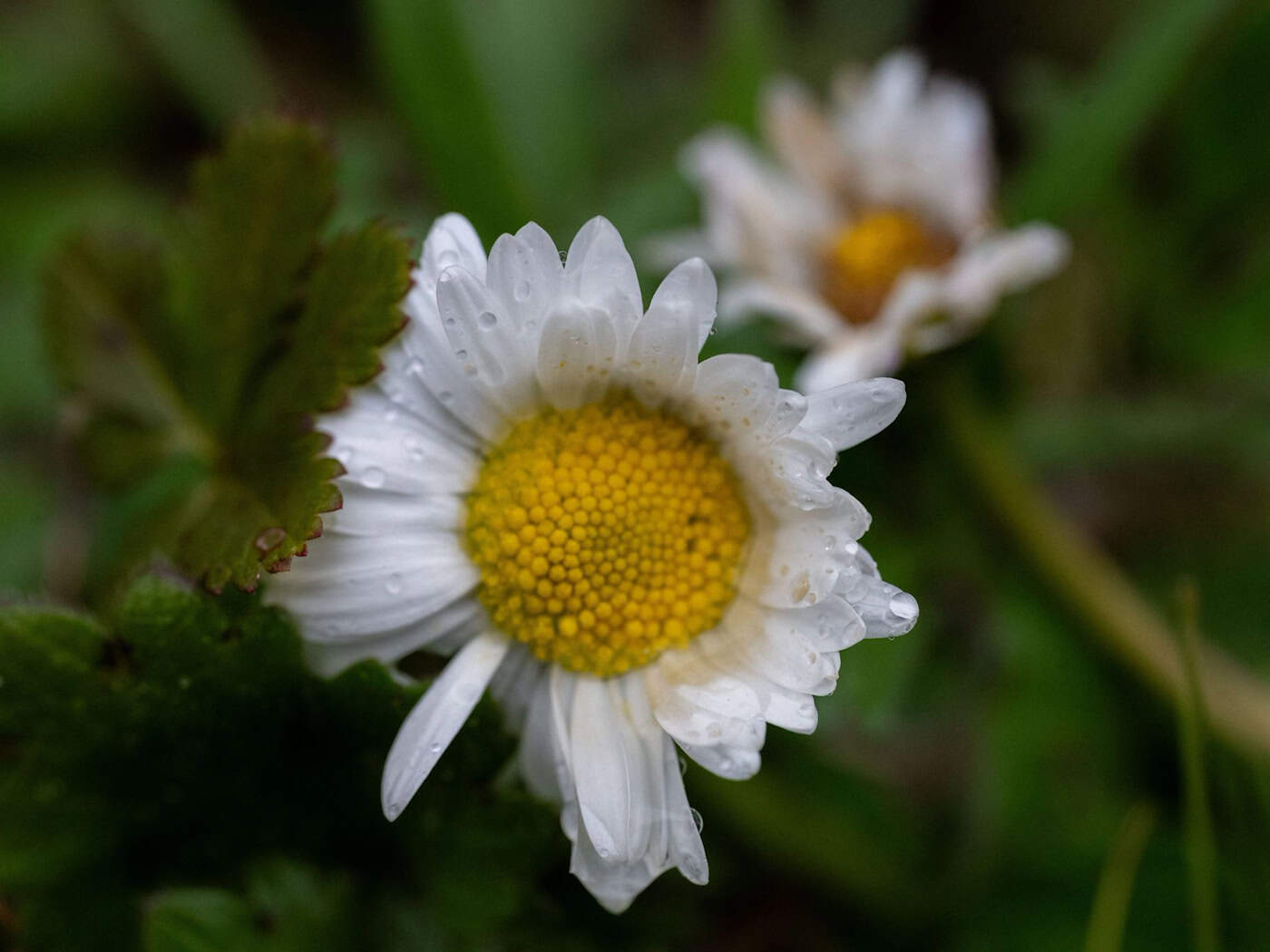 An Ostersonntag wird es zunächst verbreitet sonnig. (Symbolbild) / Foto: Pia Bayer/dpa