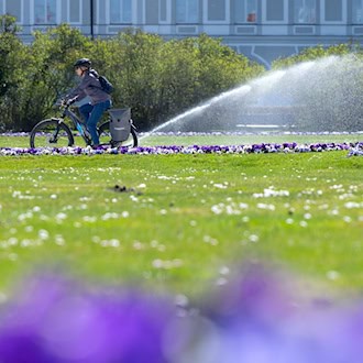 Ein Wettermix aus Sonne, Wolken sagt der Deutsche Wetterdienst für die nächsten Tage voraus. (Archivfoto)   / Foto: Sven Hoppe/dpa