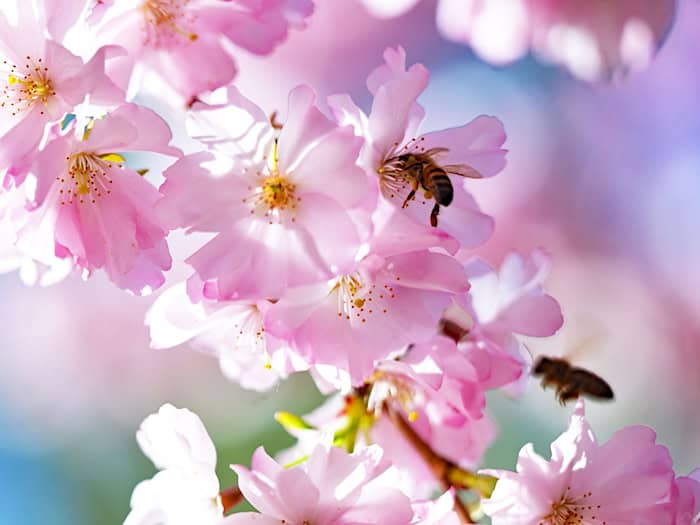 Der DWD erwartet für Samstag viel Sonnenschein für Bayern. (Symbolbild) / Foto: Malin Wunderlich/dpa