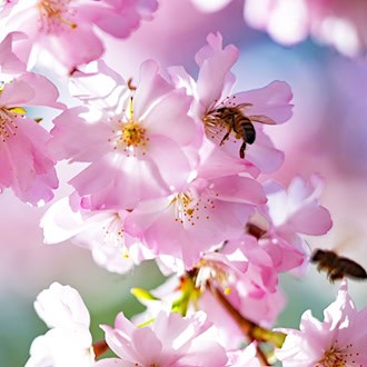 Der DWD erwartet für Samstag viel Sonnenschein für Bayern. (Symbolbild) / Foto: Malin Wunderlich/dpa