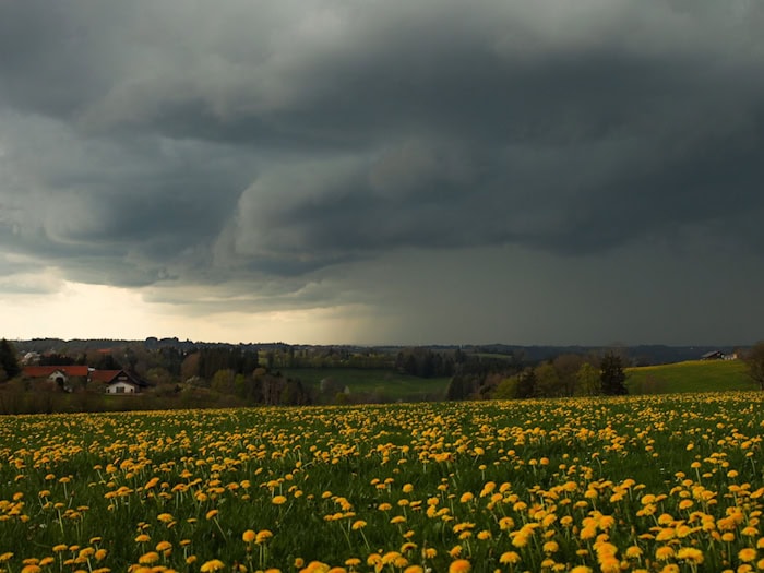 Aprilwetter in Bayern: Blühende Wiesen, Gewitter - aber auch nochmal Frost.  / Foto: Alexander Wolf/onw-images/dpa
