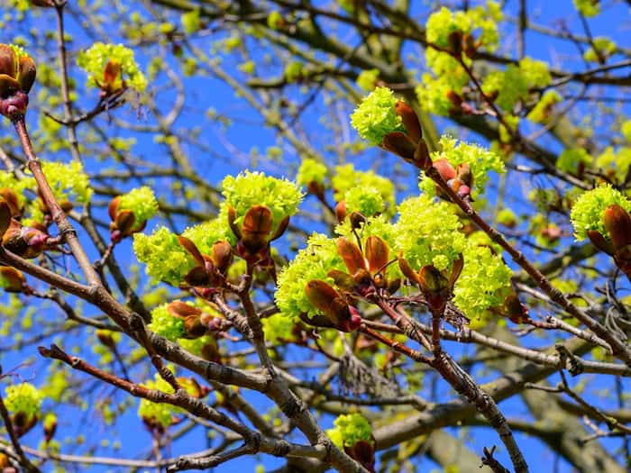 Tagsüber soll es freundlich werden. (Symbolbild) / Foto: Patrick Pleul/dpa