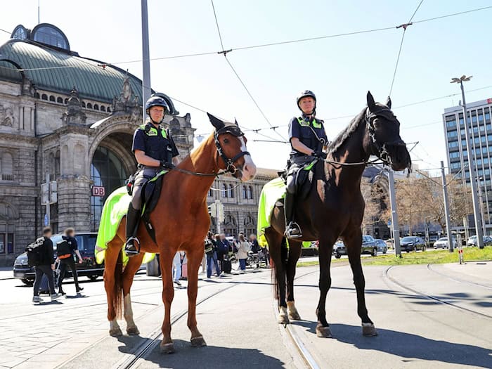 Schon allein wegen ihrer Größe sind die beiden Polizeipferde Quickly (l) und Remus (r) von Weitem sichtbar. Das soll Kriminelle abschrecken und Bürgern ein Gefühl von Sicherheit vermitteln.  / Foto: Daniel Löb/dpa