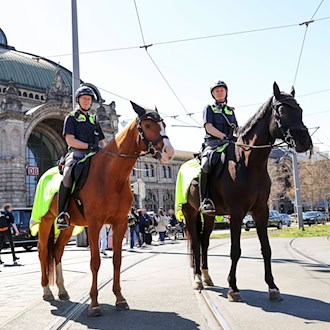 Schon allein wegen ihrer Größe sind die beiden Polizeipferde Quickly (l) und Remus (r) von Weitem sichtbar. Das soll Kriminelle abschrecken und Bürgern ein Gefühl von Sicherheit vermitteln.  / Foto: Daniel Löb/dpa