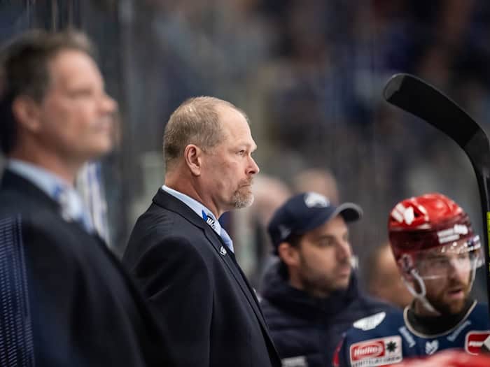 Bekommt einen neuen Schlussmann: Wild-Wings-Coach Steve Walker. (Archivbild) / Foto: Silas Stein/dpa
