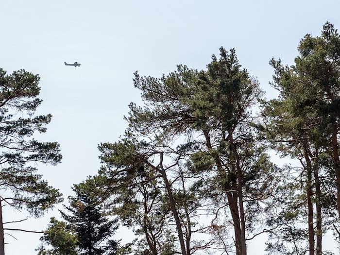 Aufgrund erhöhter Waldbrandgefahr plant die Niederbayerische Regierung in dieser Woche sechs Flüge zur Luftbeobachtung. (Symbolbild) / Foto: Pia Bayer/dpa