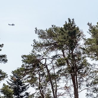 Aufgrund erhöhter Waldbrandgefahr plant die Niederbayerische Regierung in dieser Woche sechs Flüge zur Luftbeobachtung. (Symbolbild) / Foto: Pia Bayer/dpa