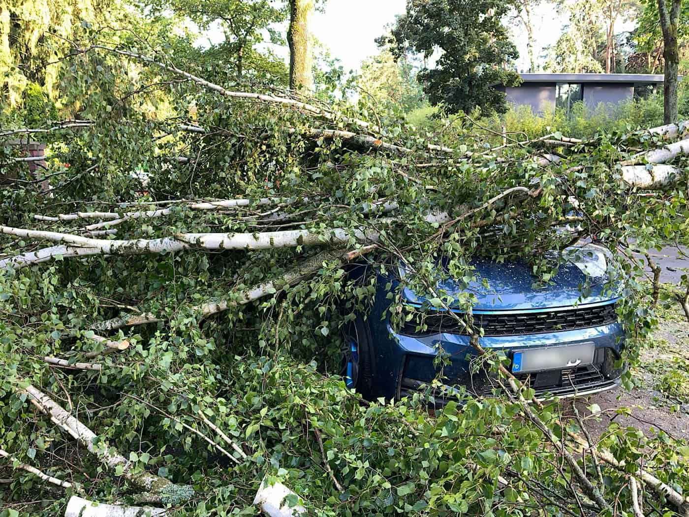 Bäume, die auf Autos stürzen, und andere Naturgefahren durch Unwetter richteten vergangenes Jahr deutlich weniger Schäden an. (Archivbild) / Foto: Jens Dudziak/dpa