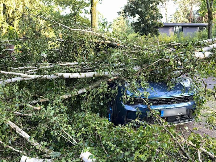 Bäume, die auf Autos stürzen, und andere Naturgefahren durch Unwetter richteten vergangenes Jahr deutlich weniger Schäden an. (Archivbild) / Foto: Jens Dudziak/dpa