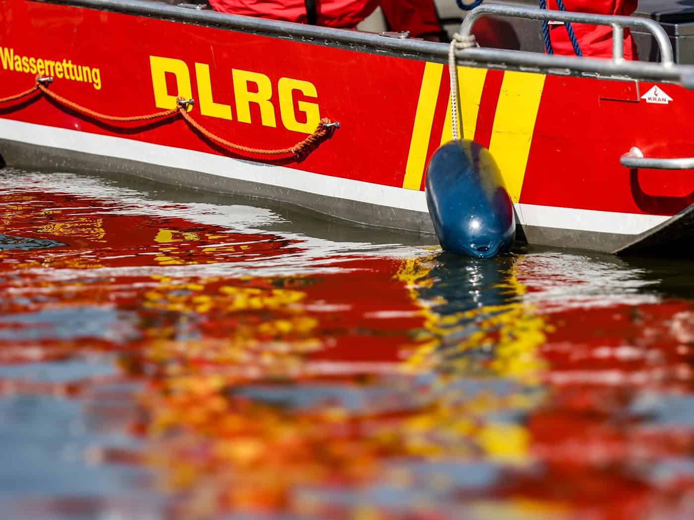 Auch die DLRG war vor Ort im Einsatz. (Symbolbild) / Foto: Christoph Reichwein/dpa