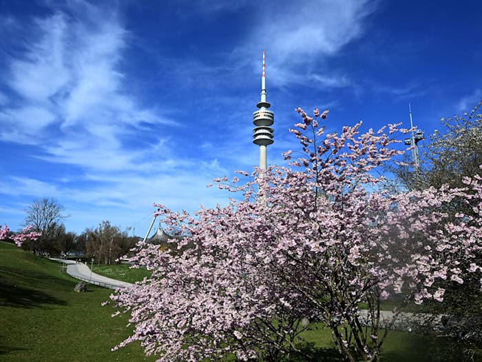 Am Mittwoch bleibt es sonnig. (Archivbild) / Foto: Felix Hörhager/dpa