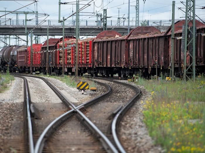 Der 20-Jährige war von einem Brückengeländer auf das Zugdach gesprungen. (Symbolbild) / Foto: Sven Hoppe/dpa