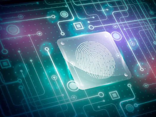 Fingerabdruck-Symbol in einem digitalen Schaltkreis – Vertraulichkeit und Datenschutz im digitalen Zeitalter