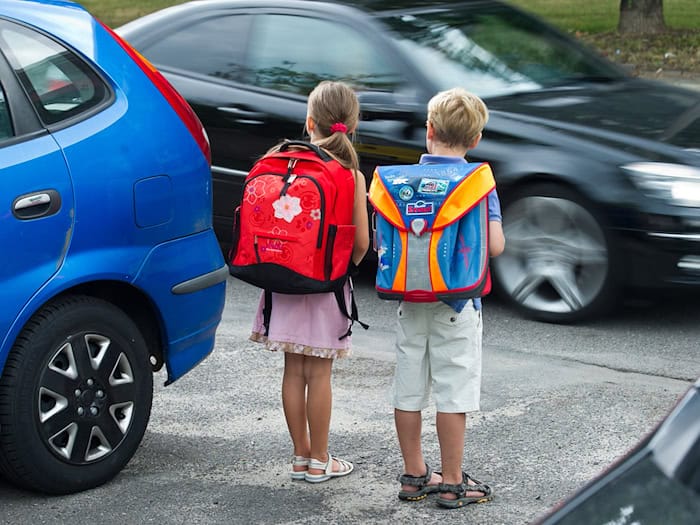 Die 7-jährige Schülerin wurde vom Auto erfasst. (Symbolbild) / Foto: Patrick Pleul/dpa-Zentralbild/dpa