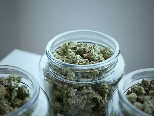 Drei Gläser mit medizinischem Cannabis in Blütenform