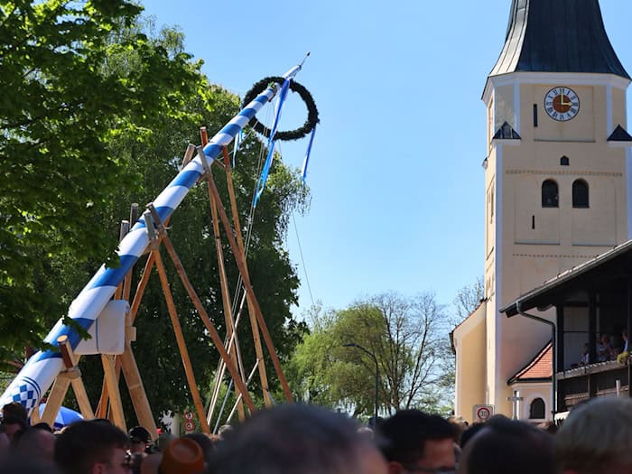 Im vergangenen Jahr bekam Taufkirchen bei München einen neuen Maibaum. (Archivbild) / Foto: Karl-Josef Hildenbrand/dpa