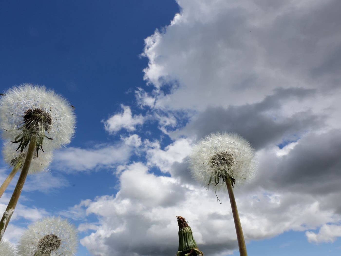 Am Dienstag erwartet Bayern vielerorts ein Sonne-Wolken-Mix. (Symbolbild)  / Foto: Thomas Warnack/dpa