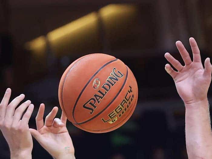 Ein Niederländer wird künftig die Basketballer in Bayreuth trainieren. (Symbolbild) / Foto: Christoph Soeder/dpa