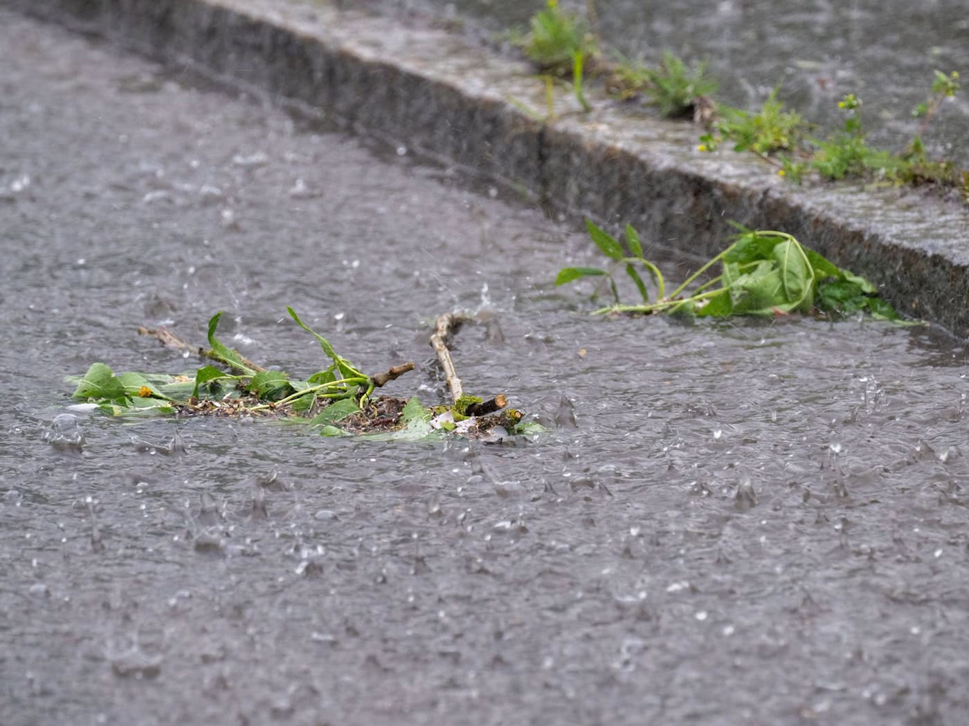 In Bayreuth rückten die Einsatzkräfte wegen des Unwetters mehrfach aus. (Symbolbild) / Foto: Pia Bayer/dpa