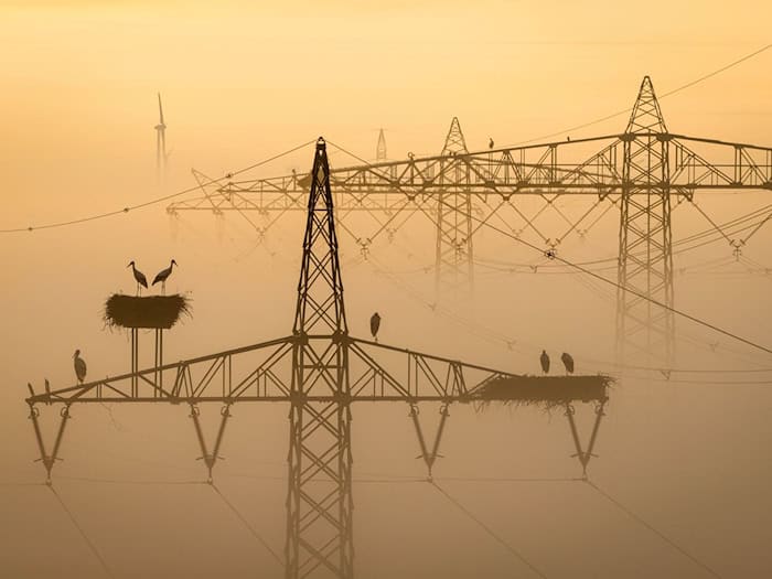 In und um München gab es schon häufiger Anschläge auf Energieanlagen. (Symbolbild) / Foto: Sina Schuldt/dpa