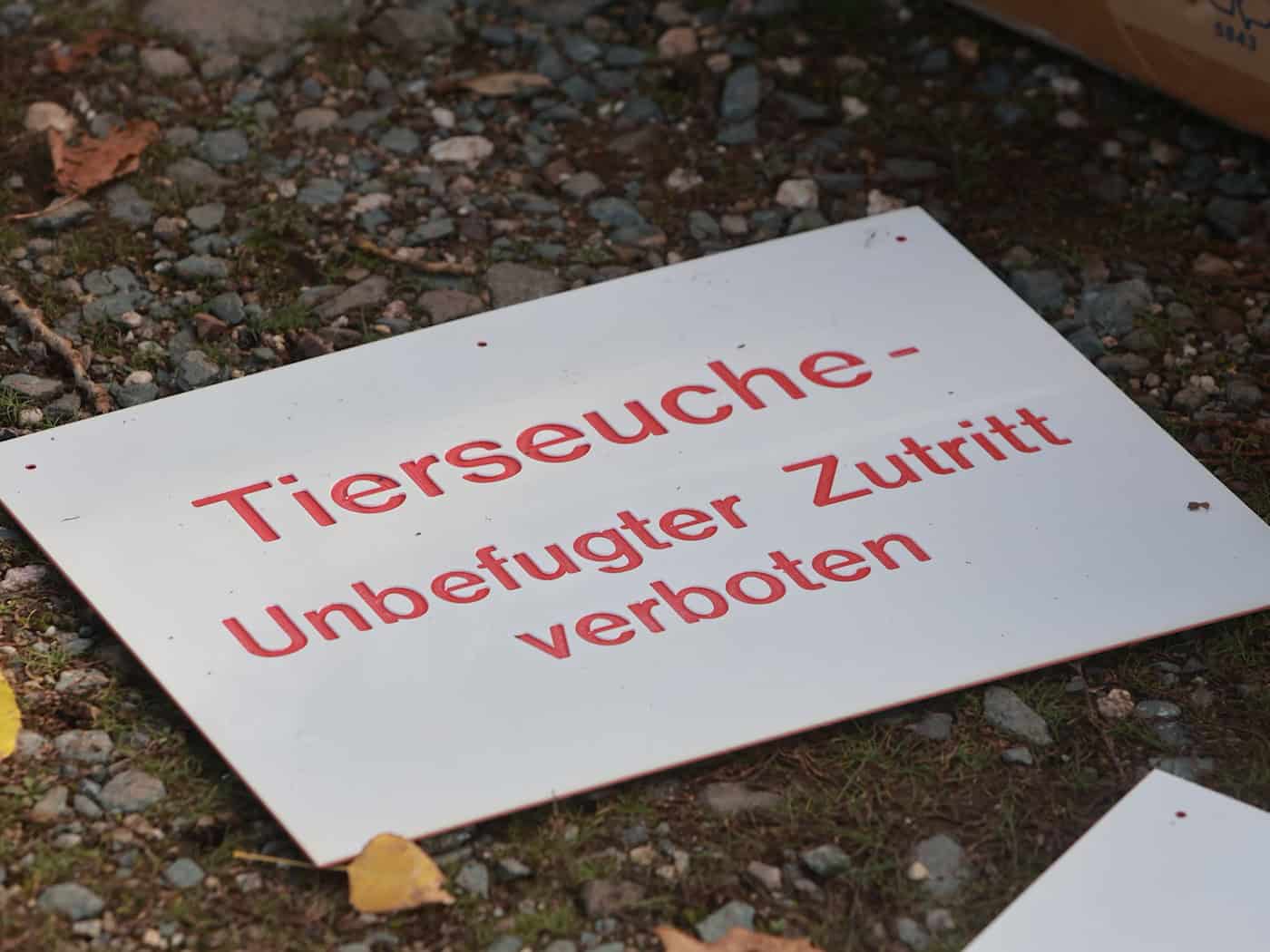 Im Kreis Mühldorf am Inn musste erneut ein Geflügelbetrieb gesperrt werden, weil dort die Newcastle-Krankheit ausgebrochen ist. (Symbolbild)  / Foto: Matthias Bein/dpa