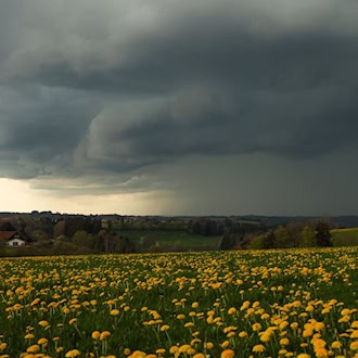 Bereits heute ziehen die ersten Regenwolken im Freistaat auf. Ab Dienstag wird es dann vielerorts nass. (Symbolbild) / Foto: Alexander Wolf/onw-images/dpa
