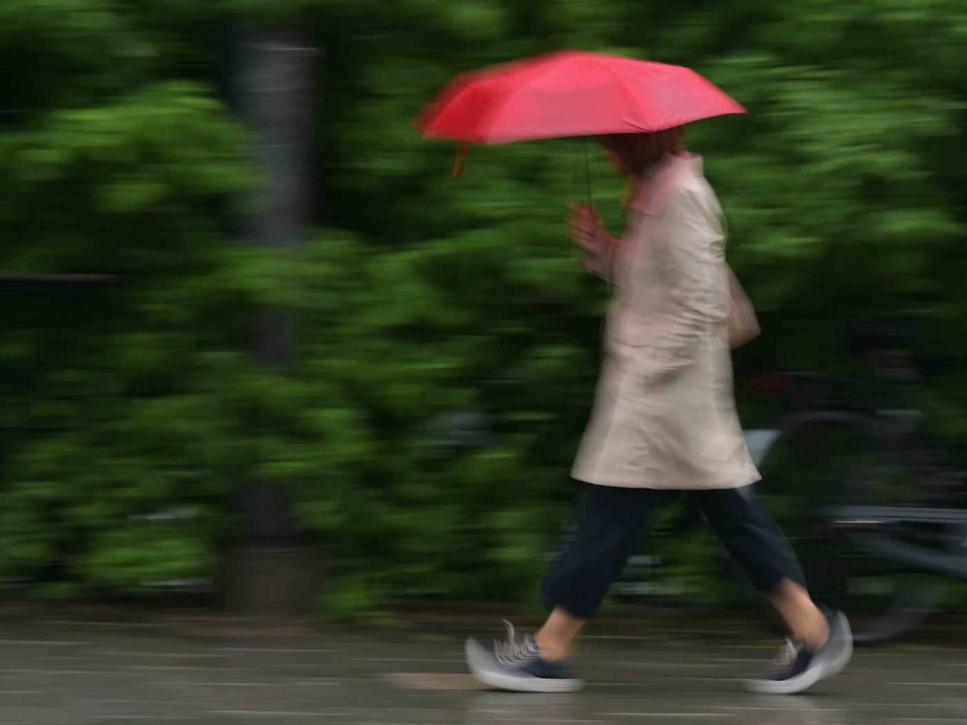 Der Regenschirm wird zum Wochenstart für die Menschen in Bayern unverzichtbar. (Archivbild) / Foto: Malin Wunderlich/dpa
