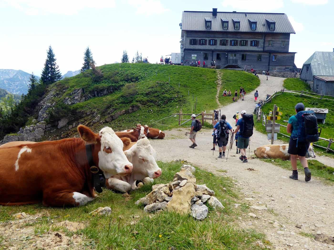 Das Rotwandhaus ist ein beliebtes Wanderziel. (Archivbild) / Foto: Angelika Warmuth/dpa