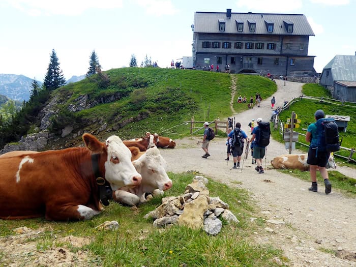 Das Rotwandhaus ist ein beliebtes Wanderziel. (Archivbild) / Foto: Angelika Warmuth/dpa