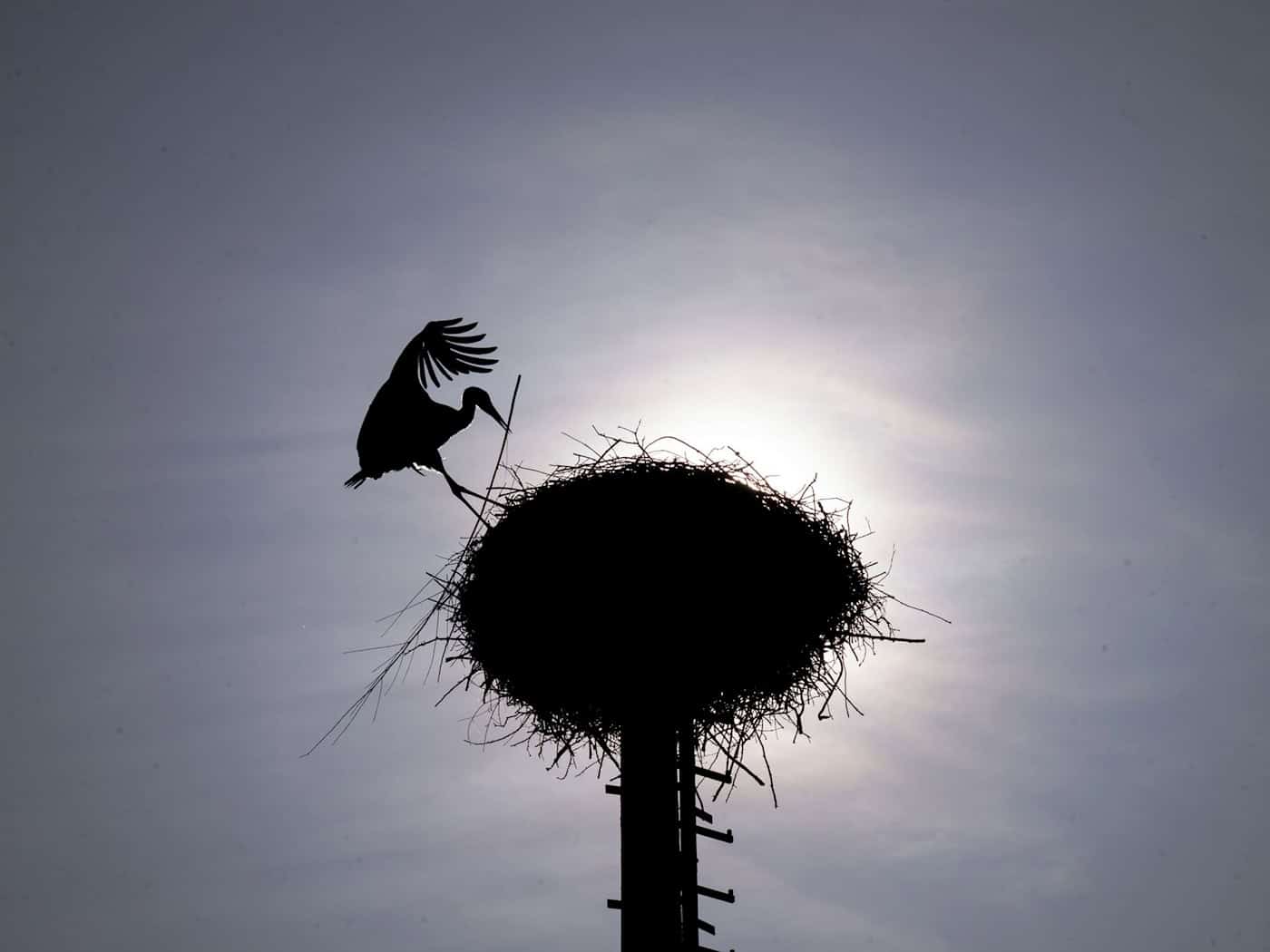 Zu Beginn der Pfingstferien sollen die Temperaturen deutlich steigen. (Archivbild)  / Foto: Pia Bayer/dpa