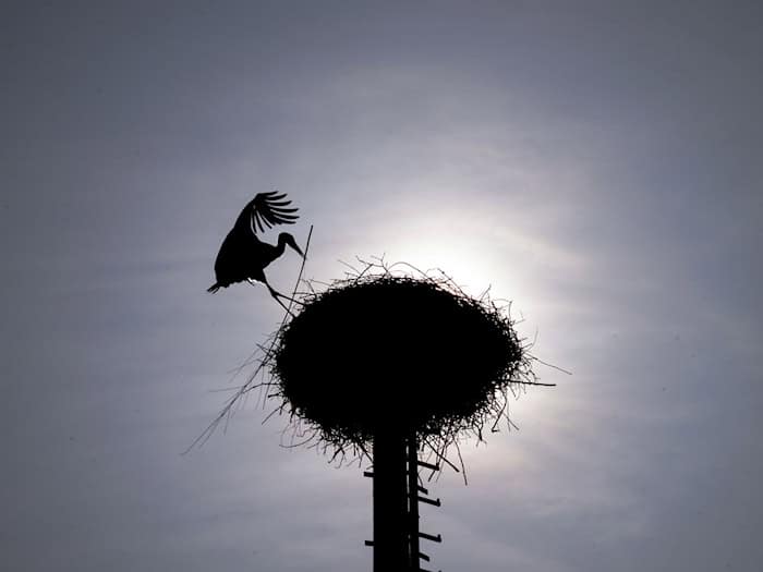 Zu Beginn der Pfingstferien sollen die Temperaturen deutlich steigen. (Archivbild)  / Foto: Pia Bayer/dpa
