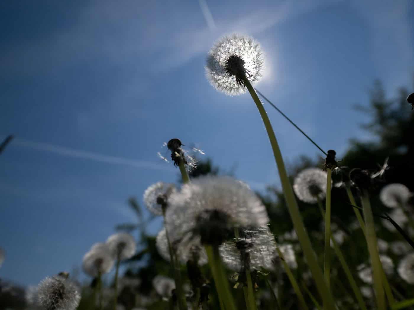 Es wird sommerlich in Bayern. (Archivbild) / Foto: Pia Bayer/dpa