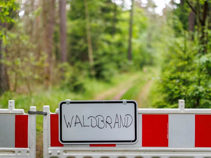 Die Waldbrandgefahr in Bayern steigt. (Archivbild) / Foto: Daniel Karmann/dpa