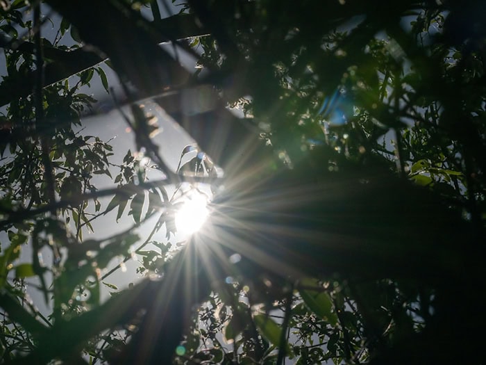 Die sonnigen Tage haben viele Menschen erfreut - doch Landwirte und Winzer hoffen nun auf Regen. (Archivbild) / Foto: Pia Bayer/dpa