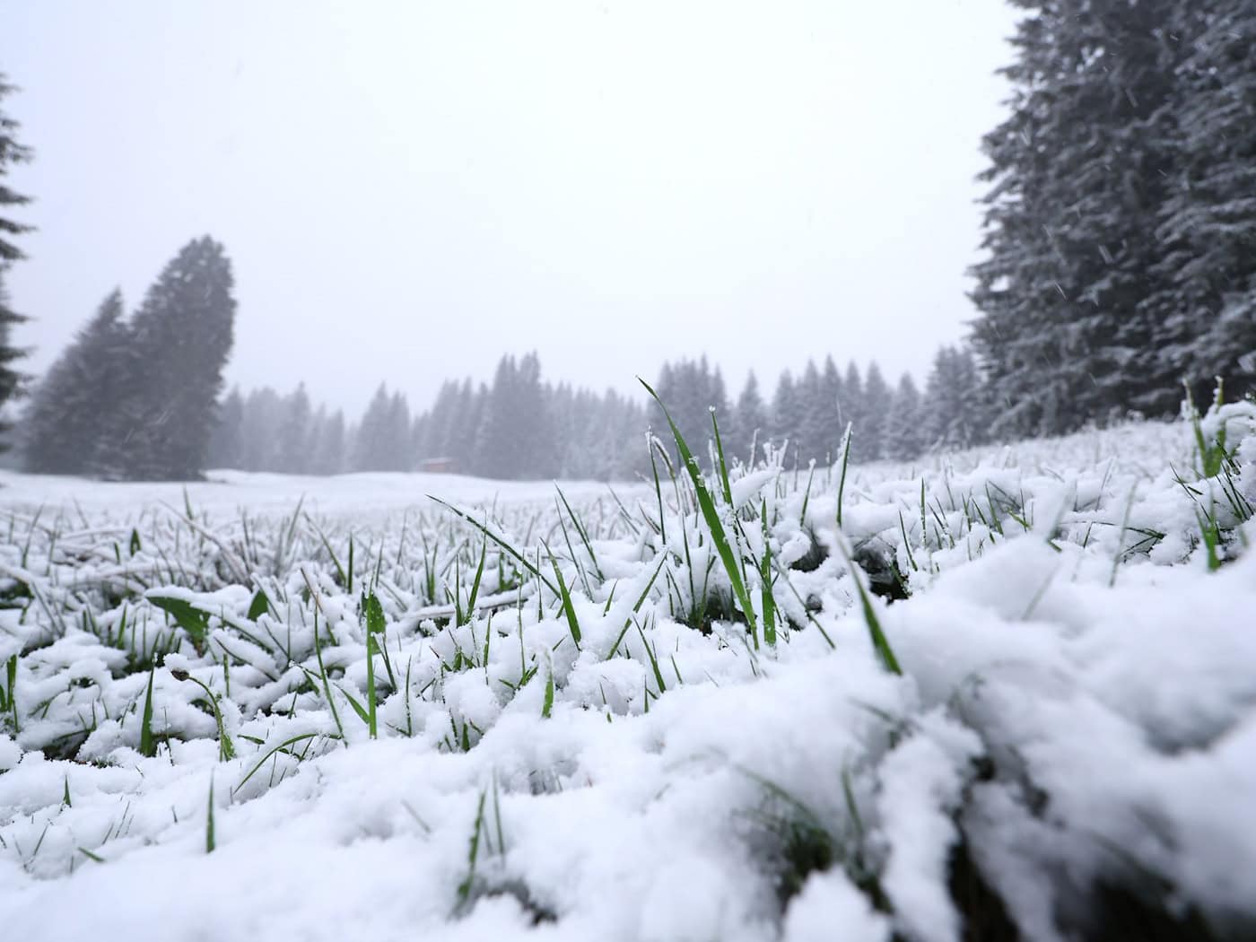 In höheren Lagen ist noch einmal Neuschnee gefallen. Und es bleibt weiter kühl. / Foto: Karl-Josef Hildenbrand/dpa