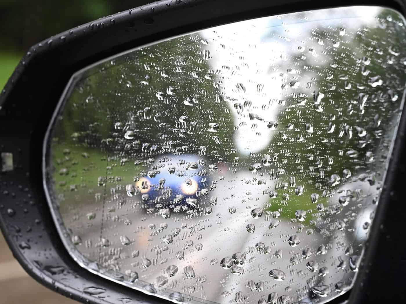 Der Deutsche Wetterdienst erwartet Regen und Gewitter im Freistaat. (Symbolbild)  / Foto: Bernd Weißbrod/dpa