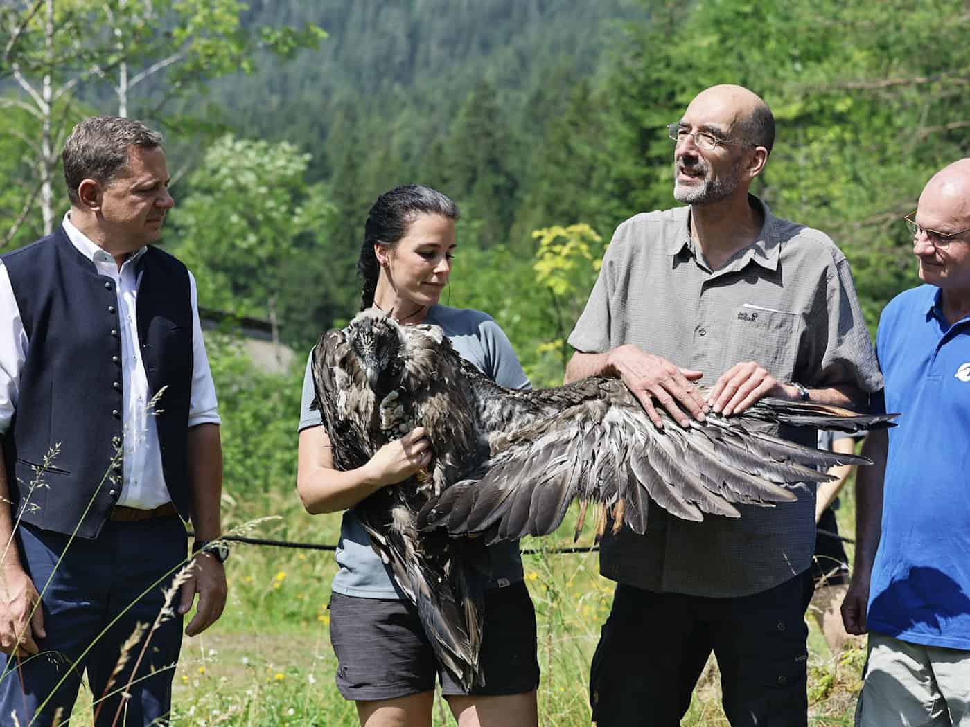 Bartgeier Zierli wurde zusammen mit Jungtier Alosa zur Auswilderungsnische im Klausbachtal gebracht.   / Foto: Michael Koller/LBV/dpa
