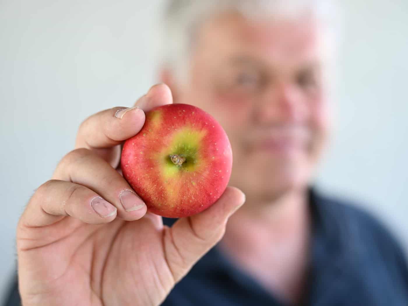 Die neue Züchtung soll mit weniger Pflanzenschutz auskommen.  / Foto: Felix Kästle/dpa