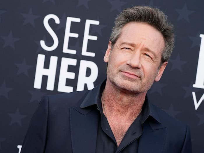 Kommt nach München: «Akte X»-Star David Duchovny. (Archivbild) / Foto: Jordan Strauss/Invision/AP/dpa